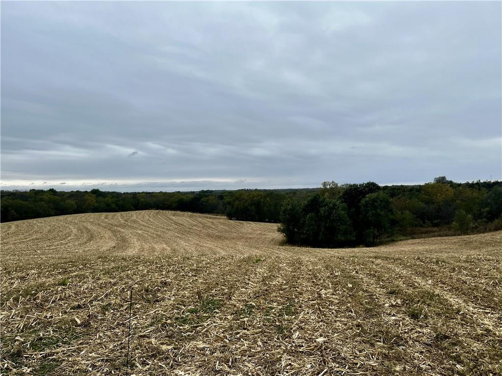 Listing Photo MLS #HMS2583836