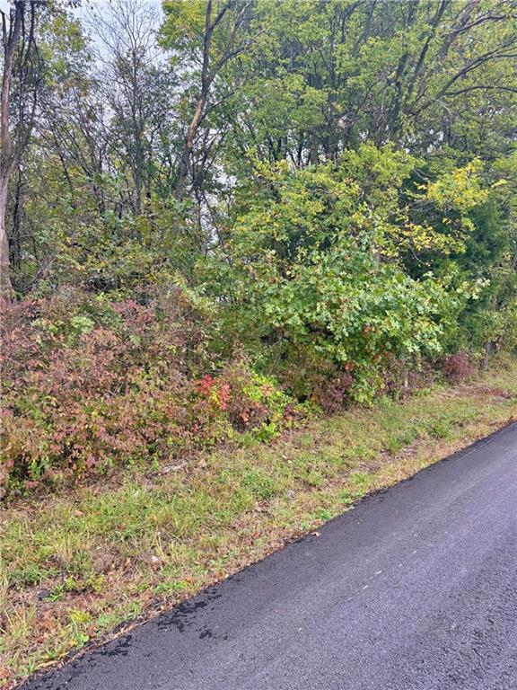 Listing Photo MLS #HMS2584019