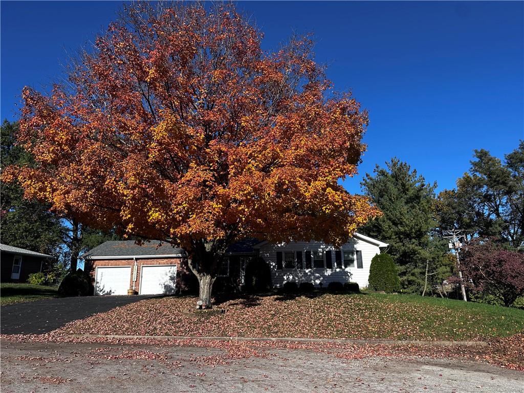 Listing Photo MLS #HMS2584809