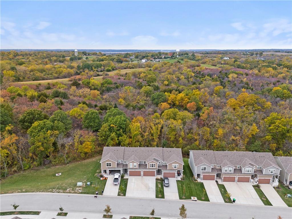 Listing Photo MLS #HMS2584812