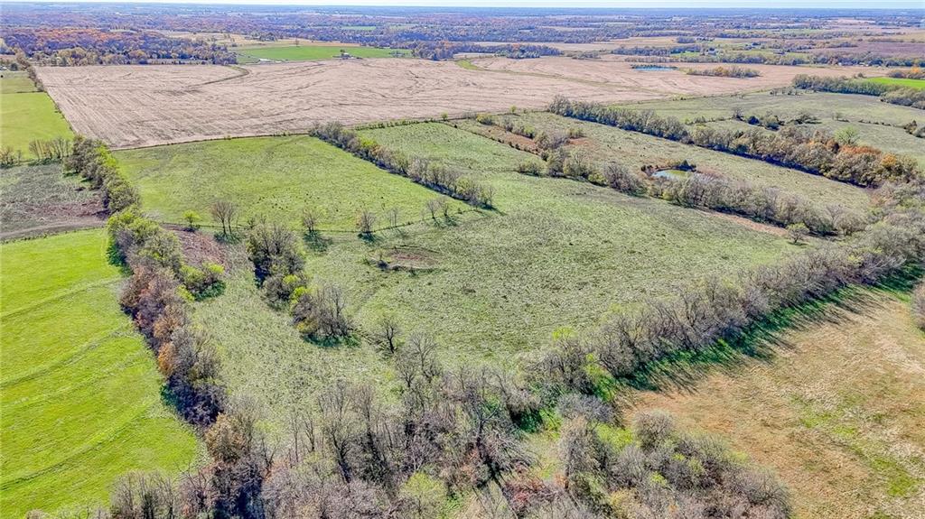 Listing Photo MLS #HMS2585364