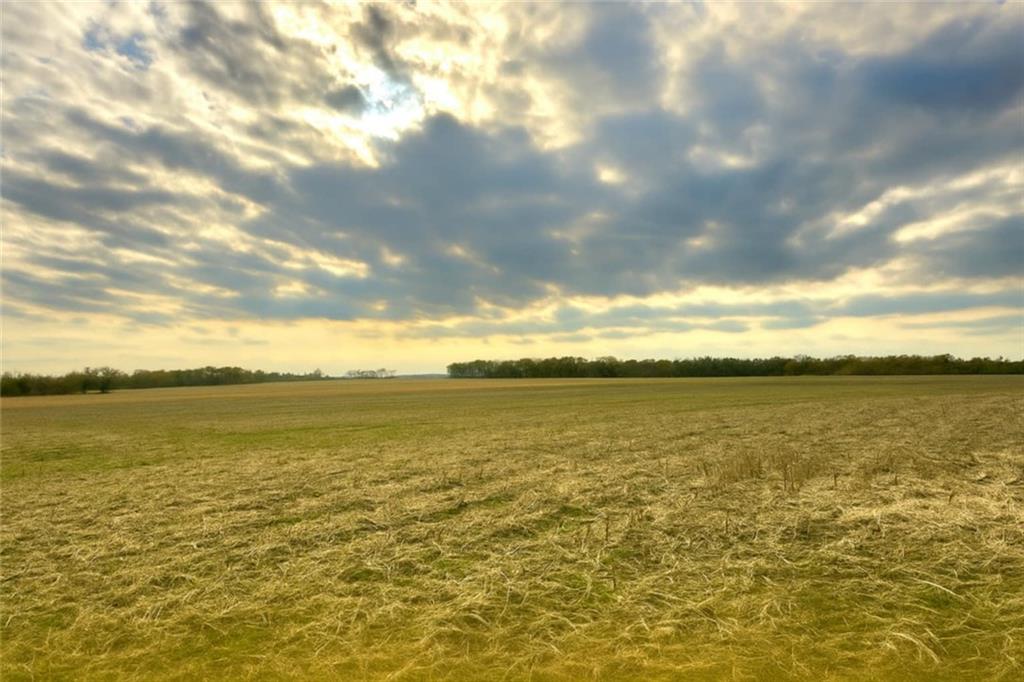 Listing Photo MLS #HMS2586712