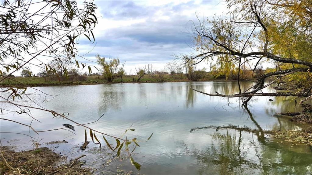 Listing Photo MLS #HMS2586714