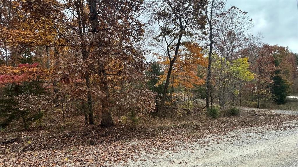 Listing Photo MLS #HMS2586908