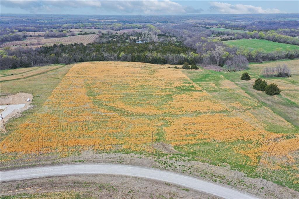 Listing Photo MLS #HMS2587100