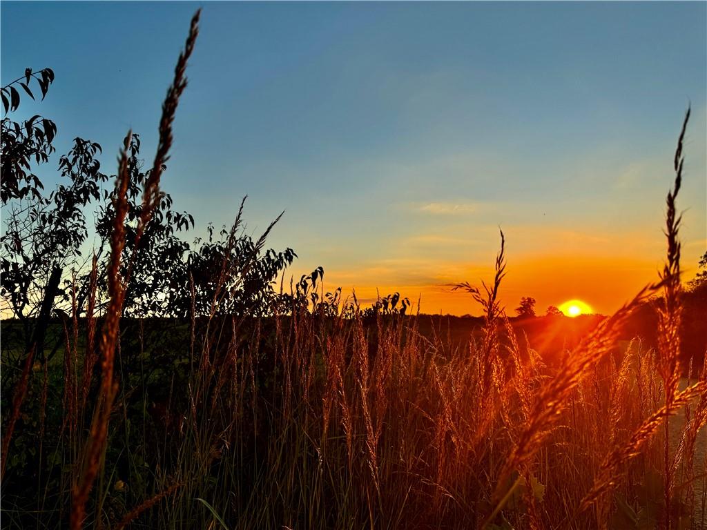 Listing Photo MLS #HMS2587348