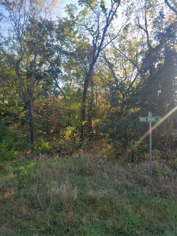 Listing Photo MLS #HMS2587441