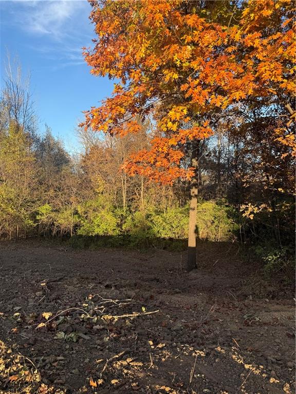 Listing Photo MLS #HMS2587506