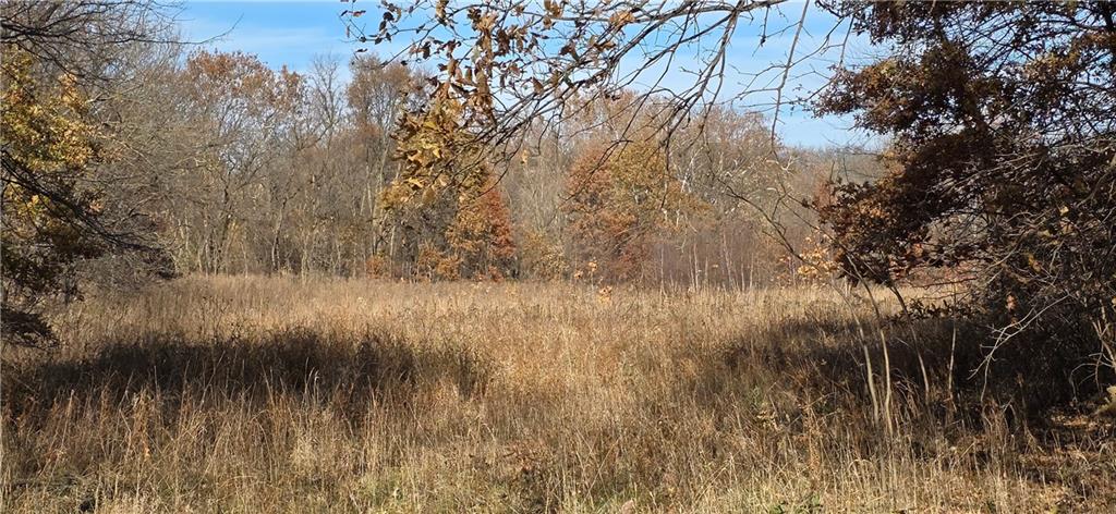 Listing Photo MLS #HMS2587521