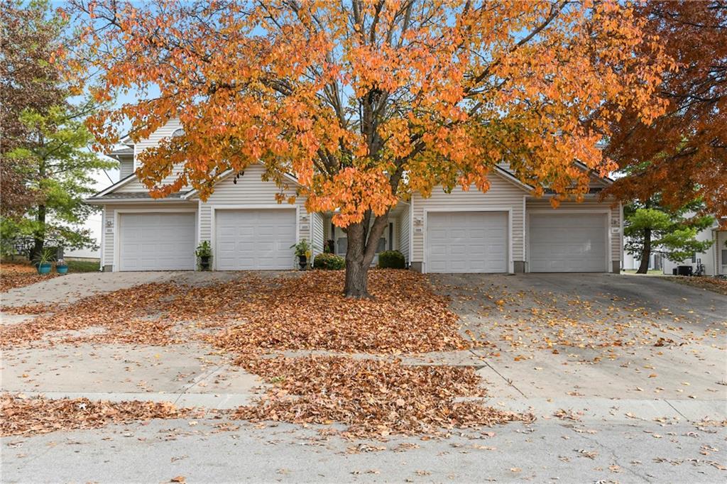 Listing Photo MLS #HMS2587523