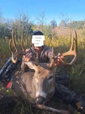 Listing Photo MLS #HMS2587526