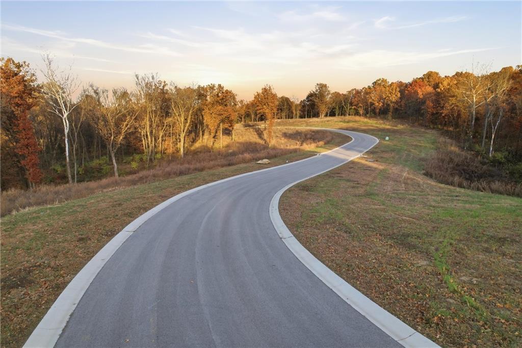 Listing Photo MLS #HMS2587707