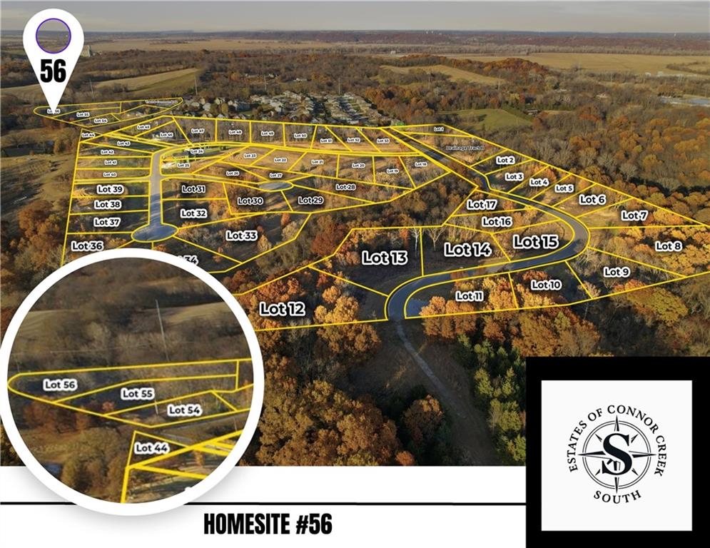 Listing Photo MLS #HMS2587806