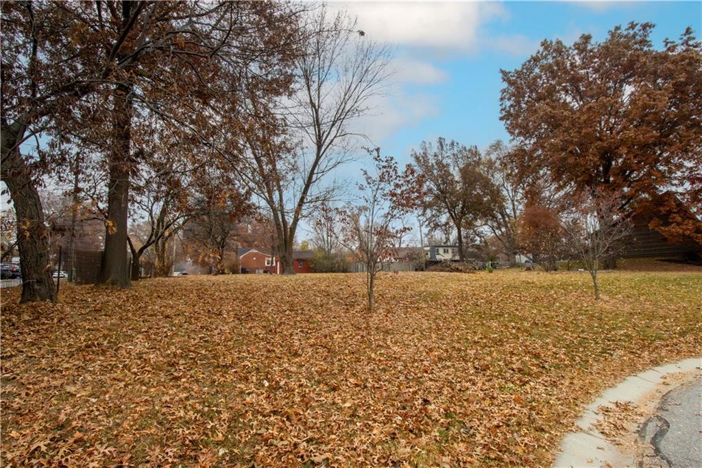 Listing Photo MLS #HMS2588085