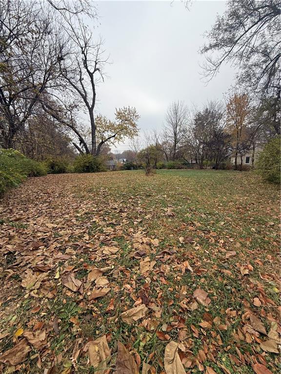 Listing Photo MLS #HMS2588406