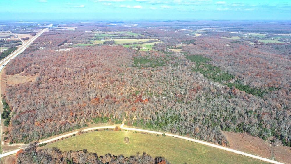 Listing Photo MLS #HMS2588564