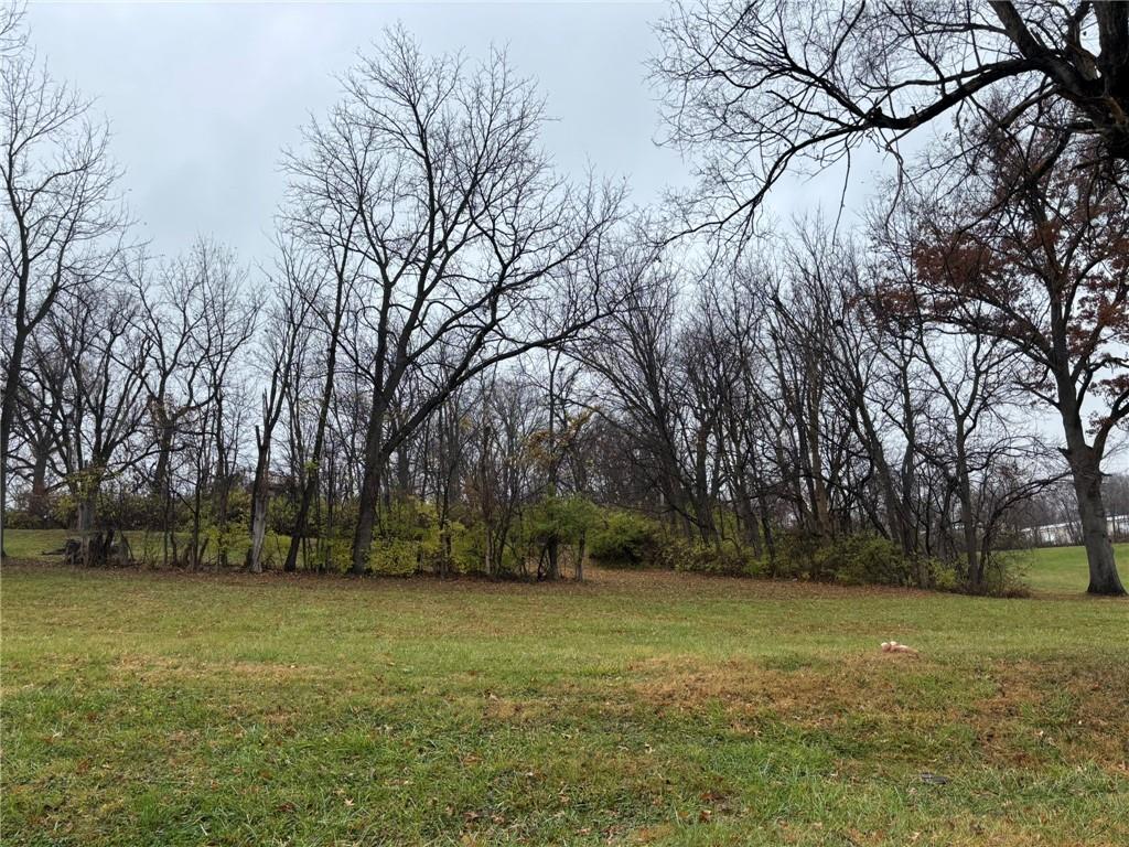 Listing Photo MLS #HMS2589110