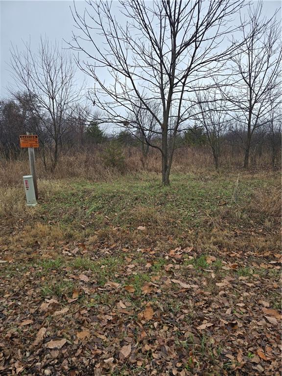 Listing Photo MLS #HMS2589173