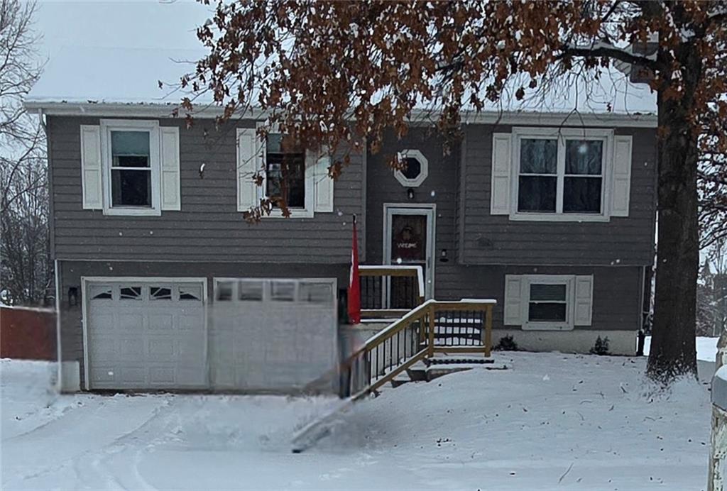 Listing Photo MLS #HMS2589703