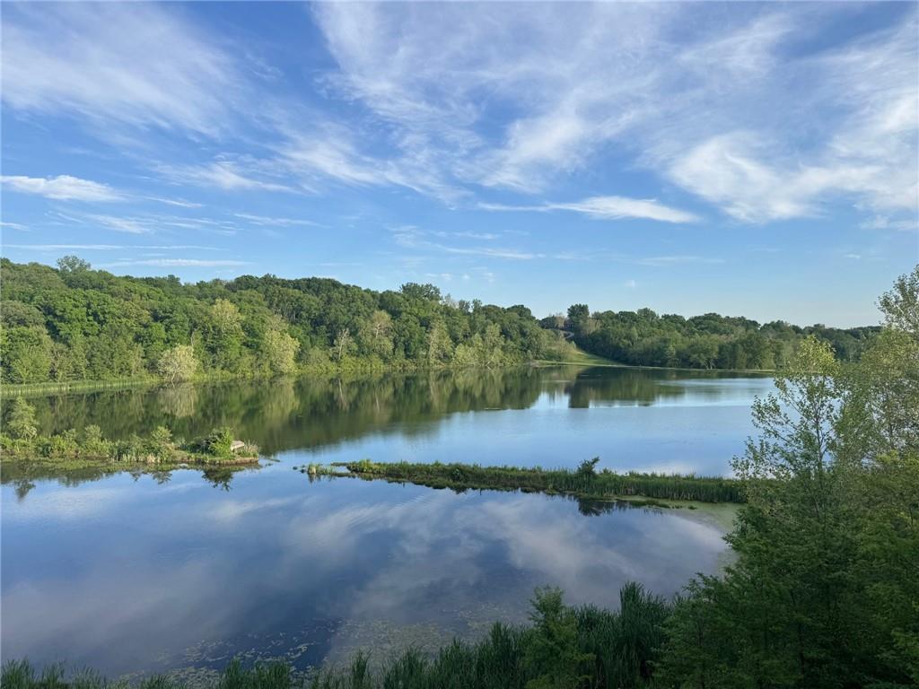 Listing Photo MLS #HMS2591271