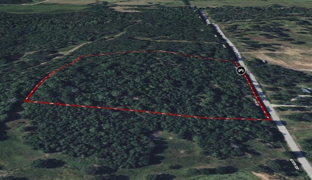 Listing Photo MLS #HMS2592135