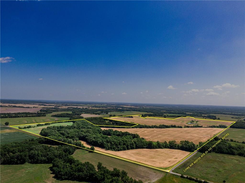 Listing Photo MLS #HMS2592305