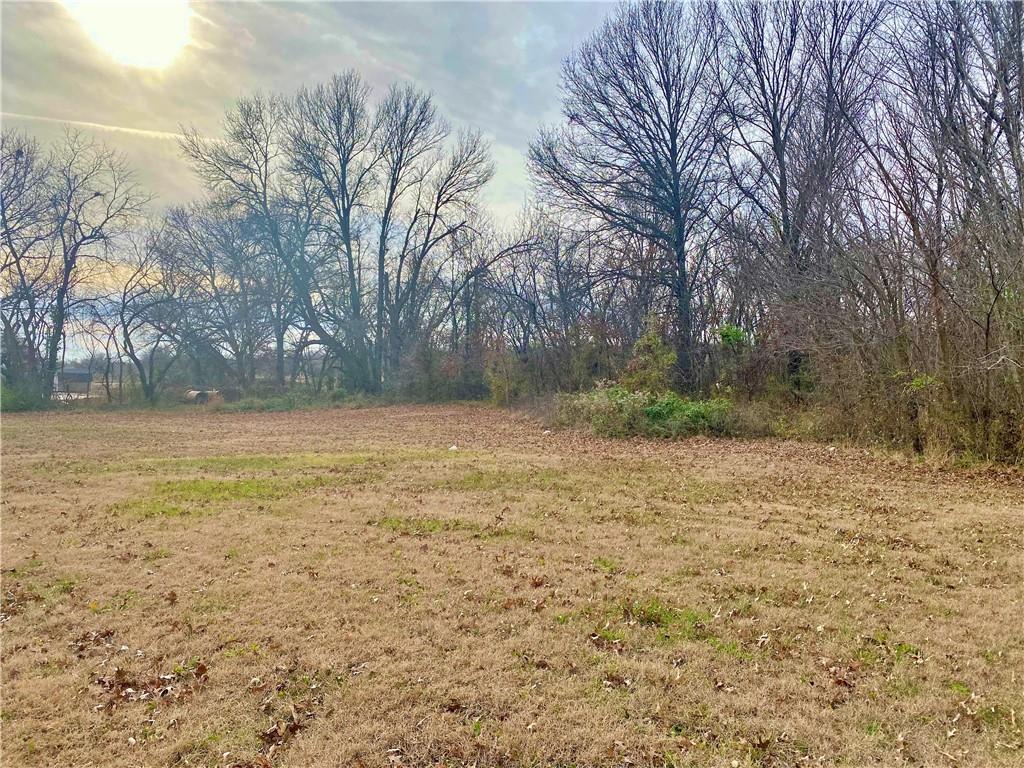 Listing Photo MLS #HMS2592367