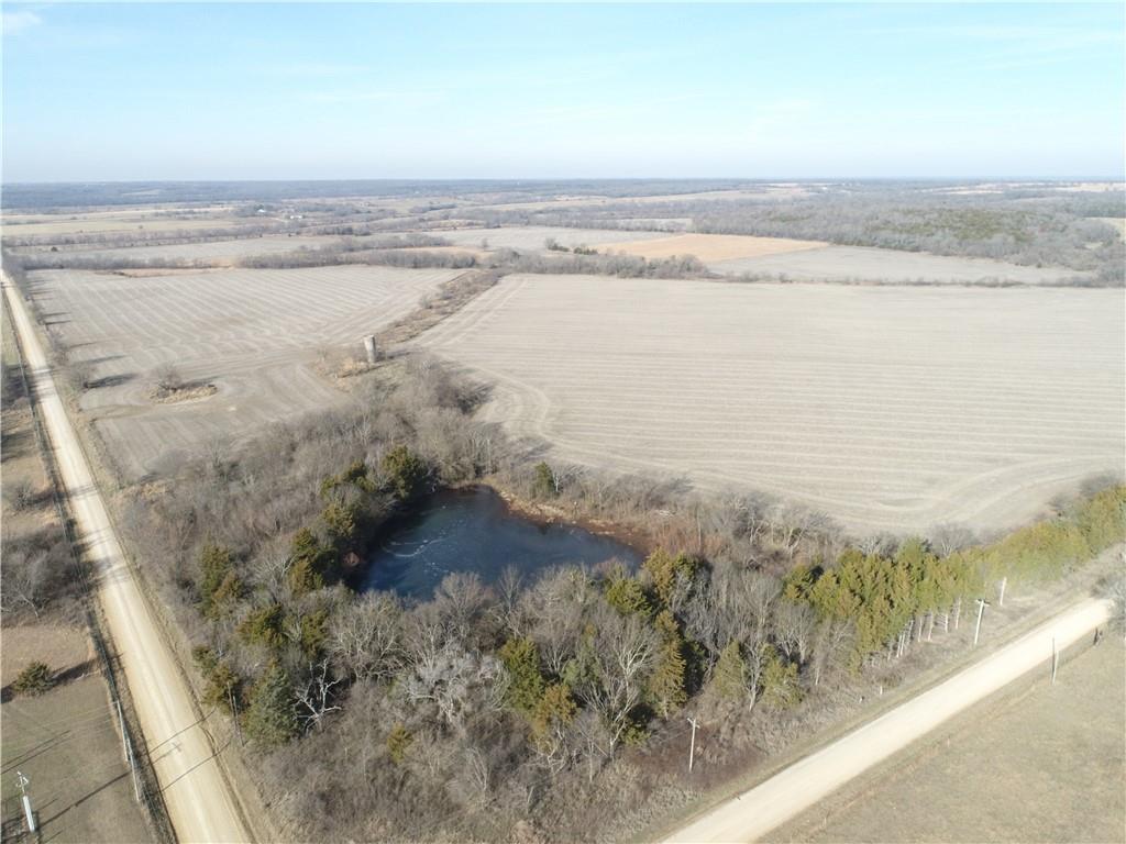 Listing Photo MLS #HMS2592677