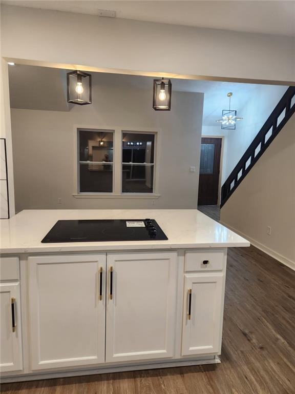 Listing Photo MLS #HMS2592703