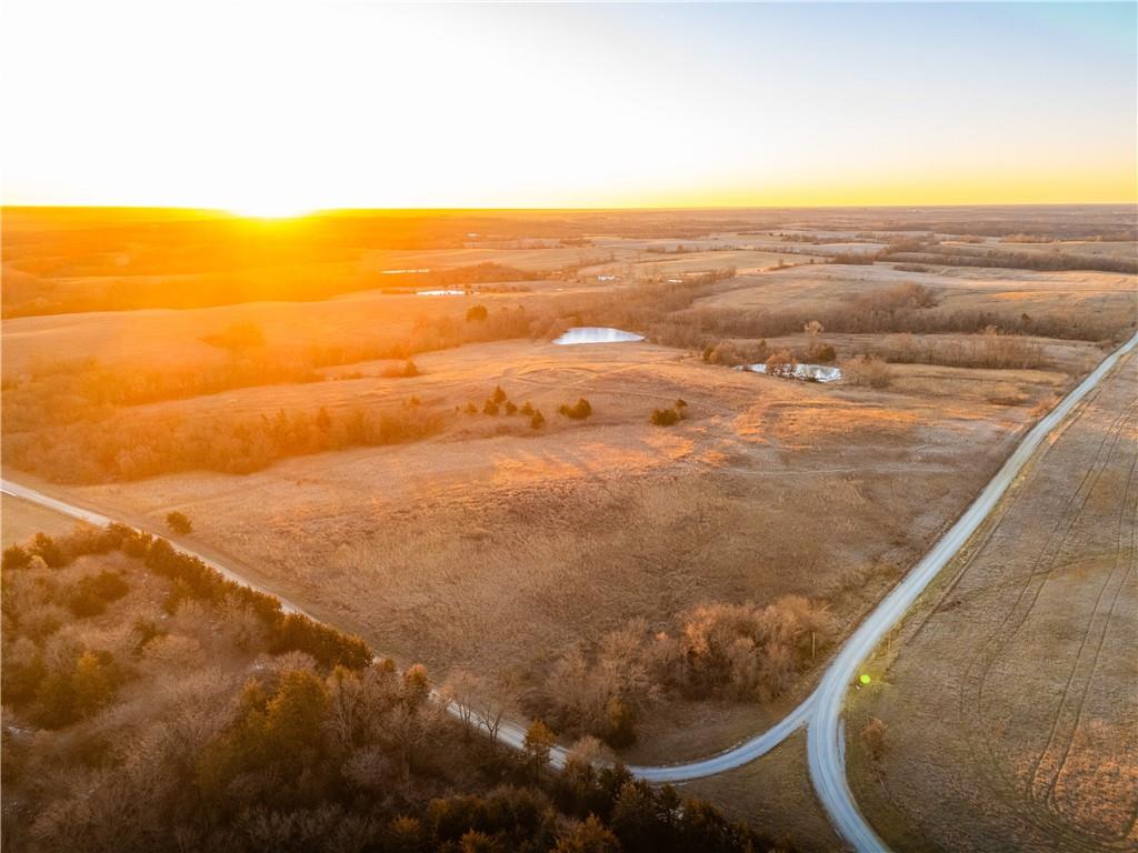 Listing Photo MLS #HMS2593016