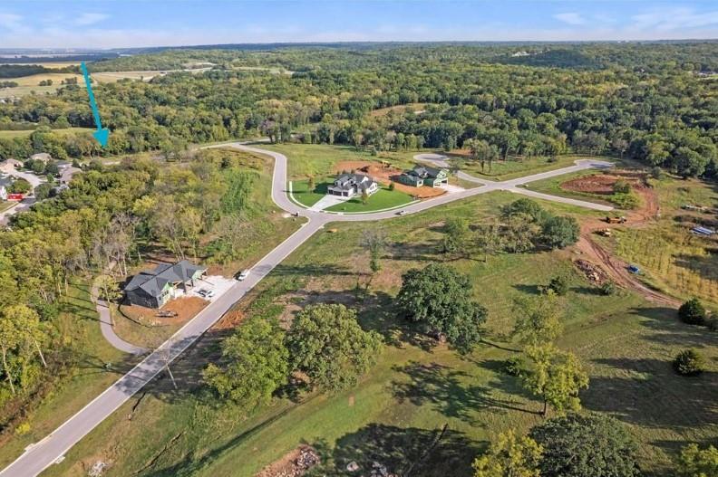 Listing Photo MLS #HMS2593287