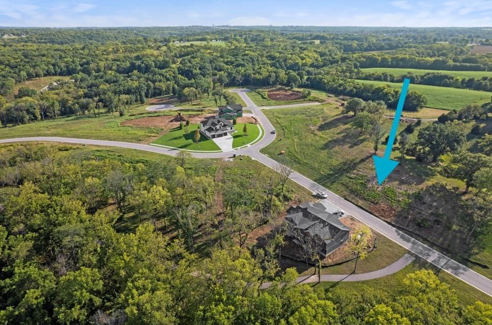 Listing Photo MLS #HMS2593290