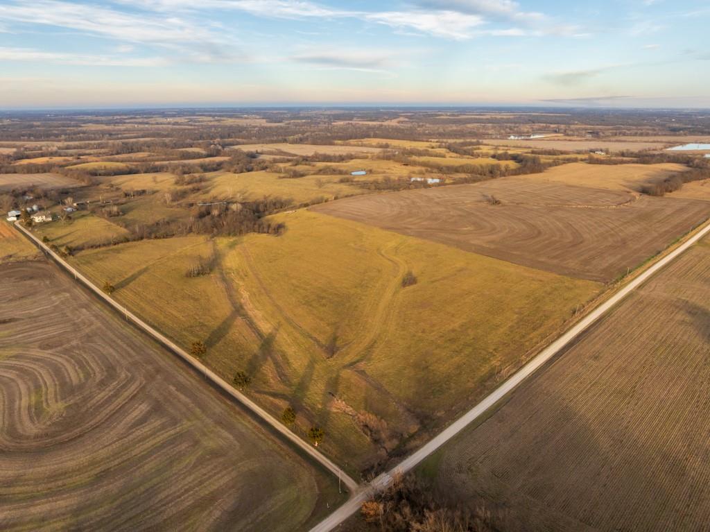 Listing Photo MLS #HMS2594486