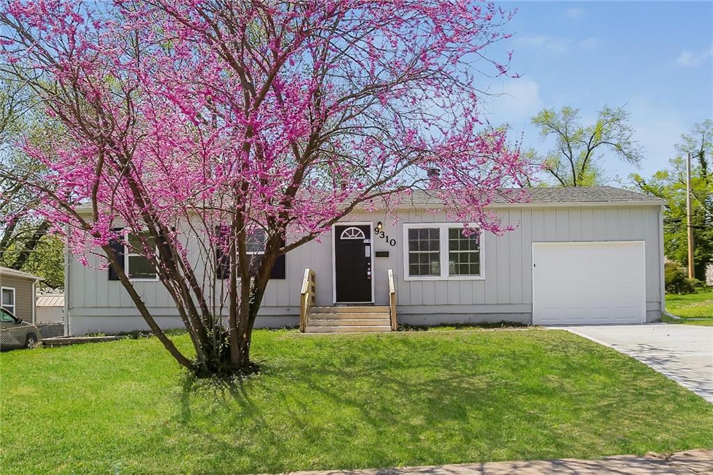 Listing Photo MLS #HMS2596764