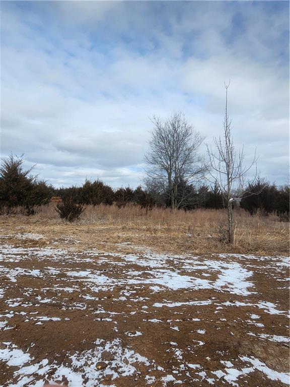 Listing Photo MLS #HMS2596864