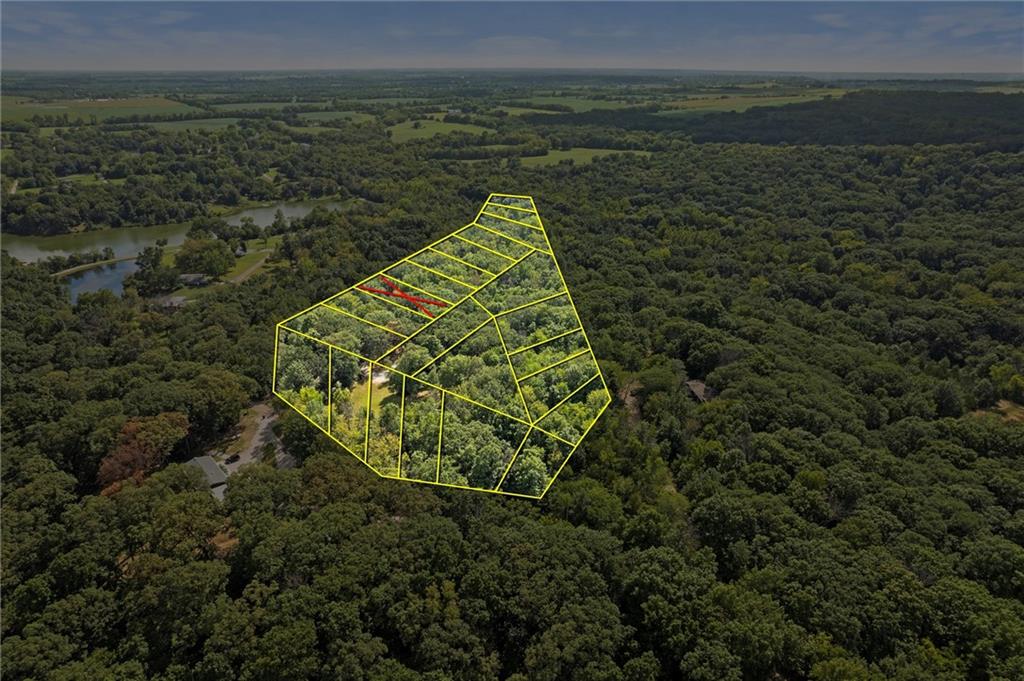 Listing Photo MLS #HMS2597387