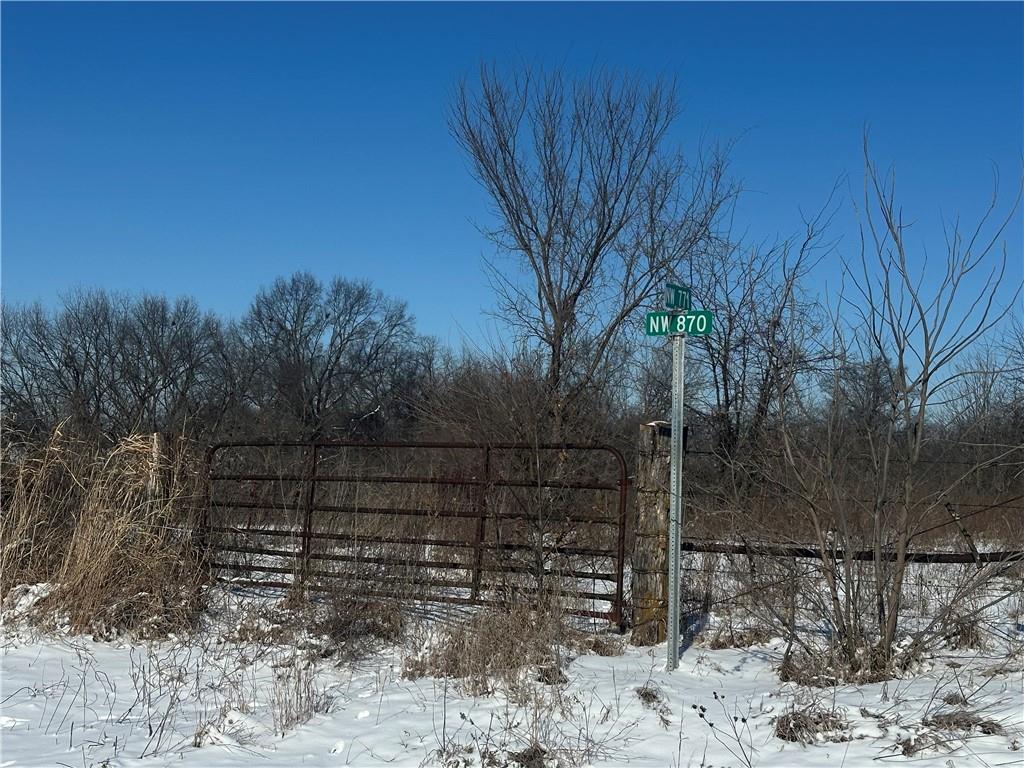 Listing Photo MLS #HMS2598197