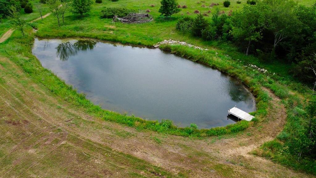 Listing Photo MLS #HMS2598531