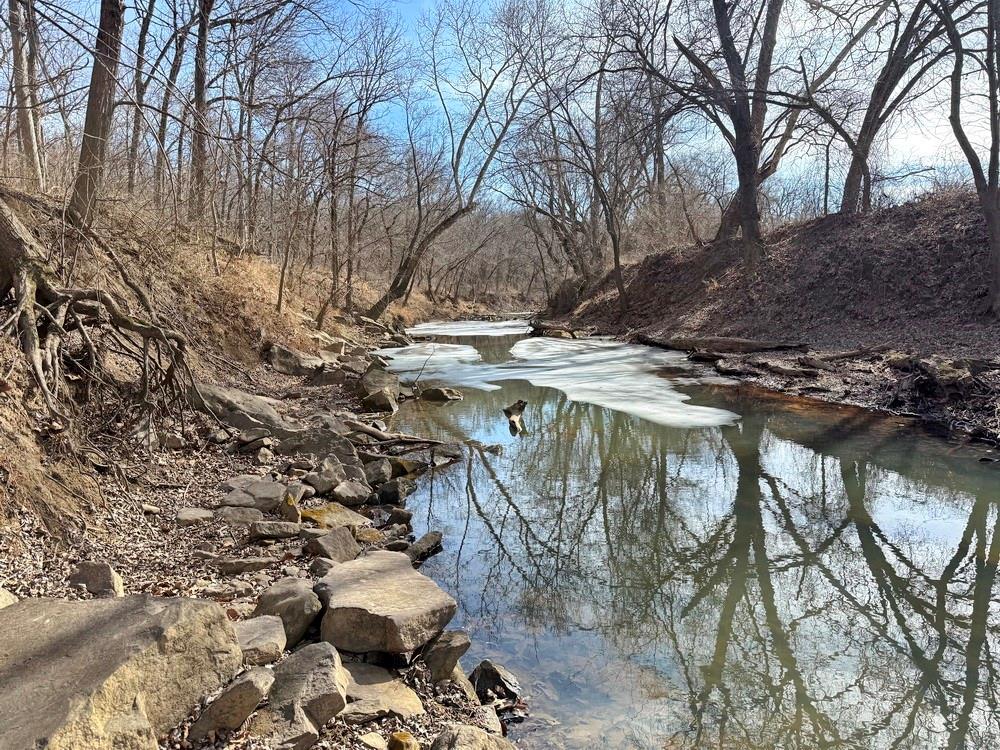 Listing Photo MLS #HMS2601309