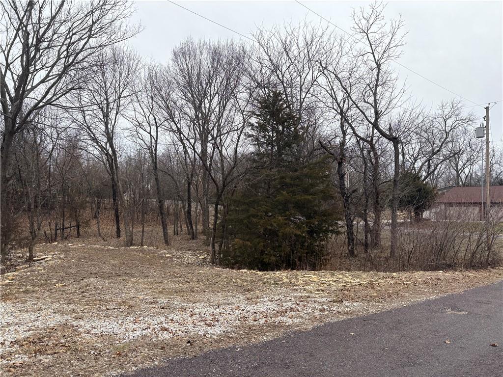 Listing Photo MLS #HMS2602327