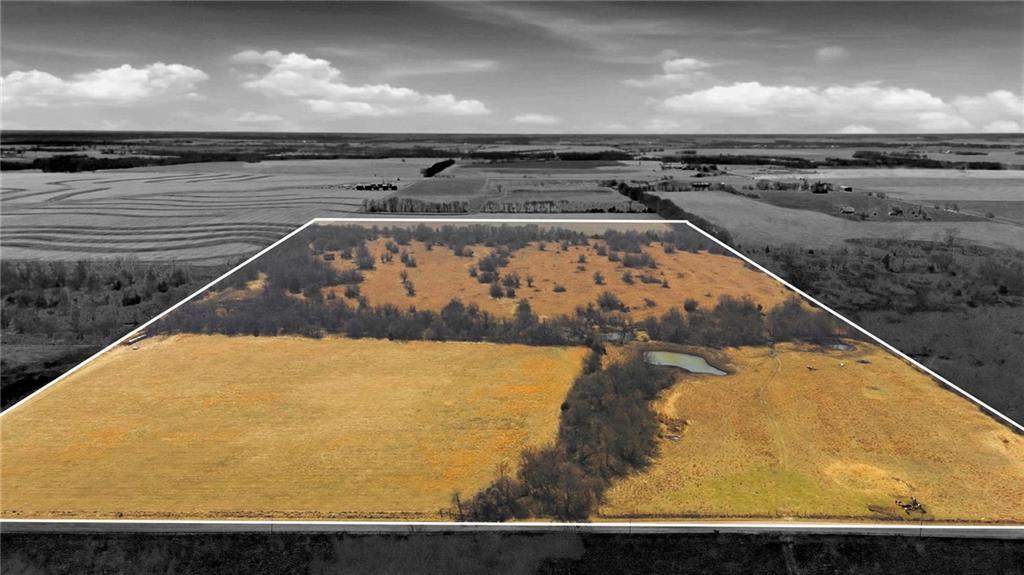 Listing Photo MLS #HMS2603264