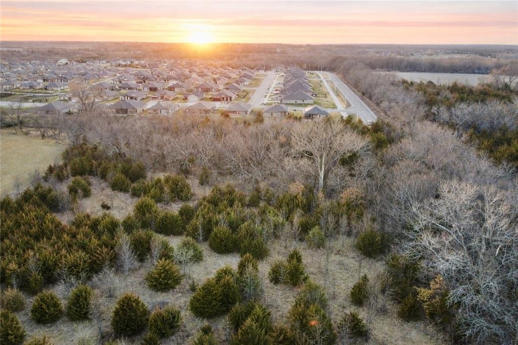 Listing Photo MLS #HMS2603973