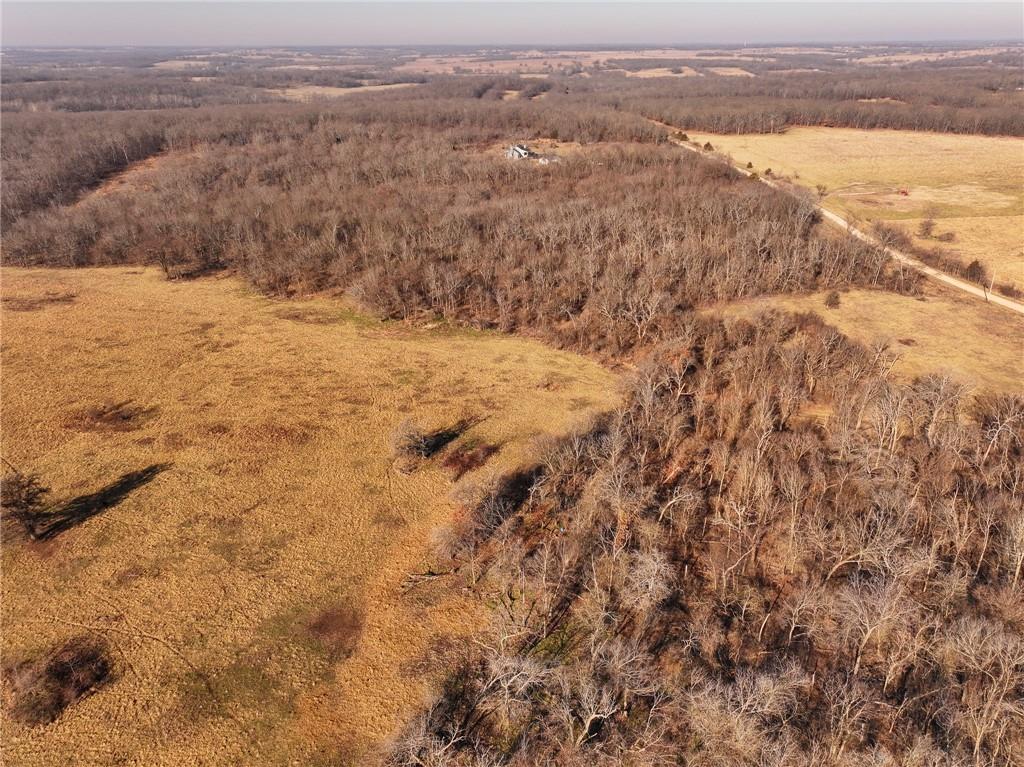 Listing Photo MLS #HMS2604087