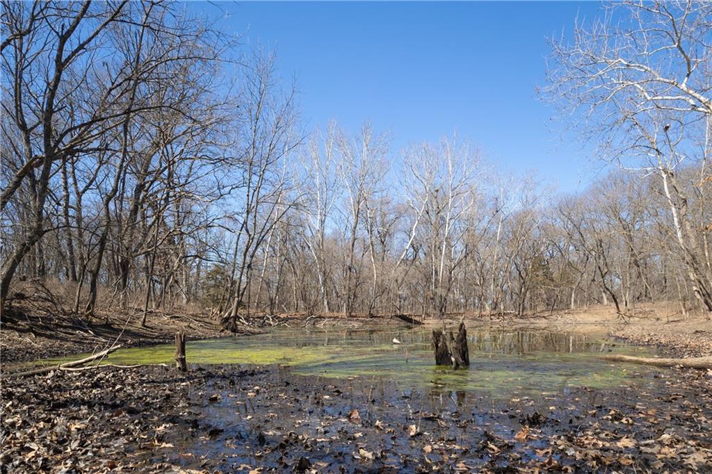 Listing Photo MLS #HMS2604916