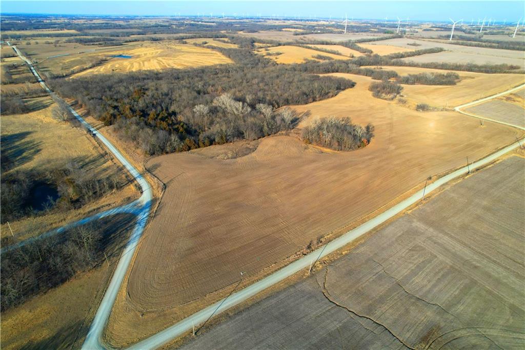 Listing Photo MLS #HMS2604999