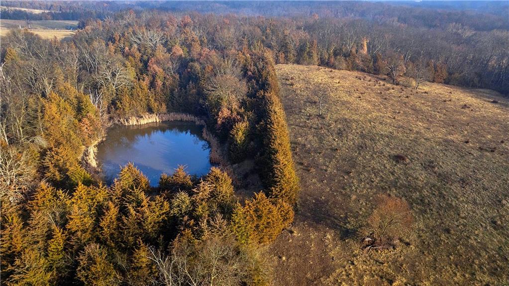 Listing Photo MLS #HMS2606097