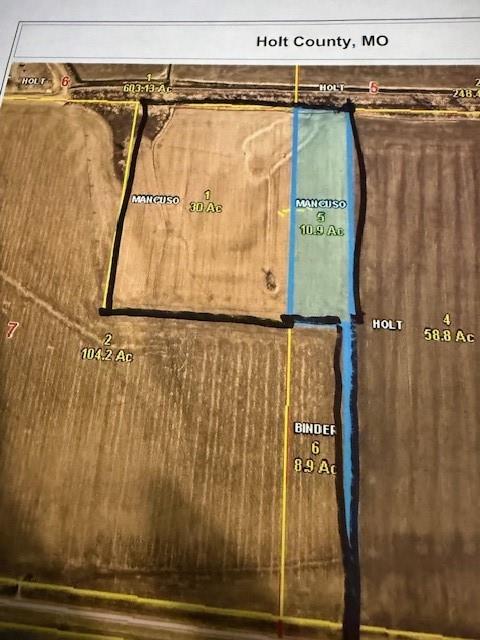 Listing Photo MLS #HMS2607491