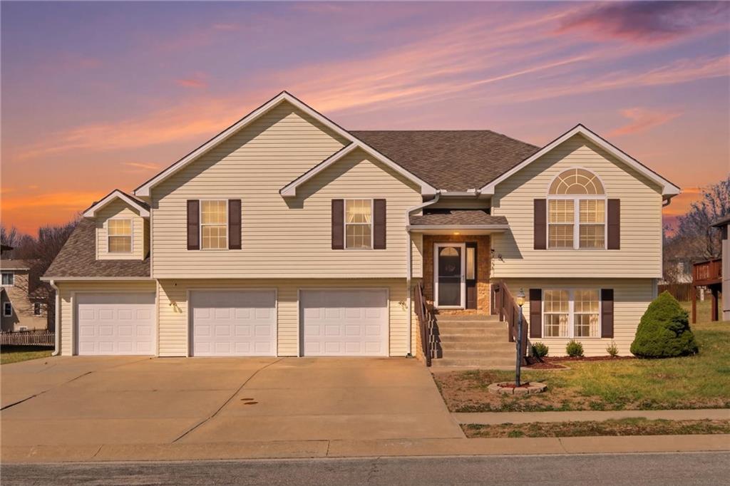 Listing Photo MLS #HMS2608143