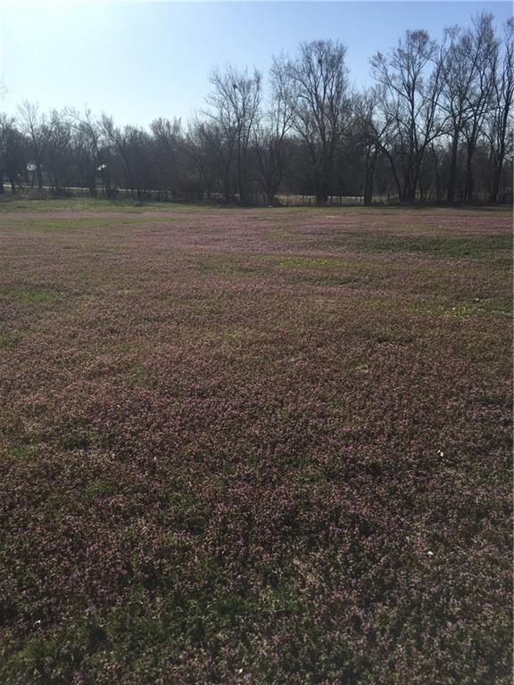 Listing Photo MLS #HMS2608159