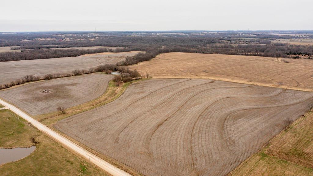 Listing Photo MLS #HMS2610735